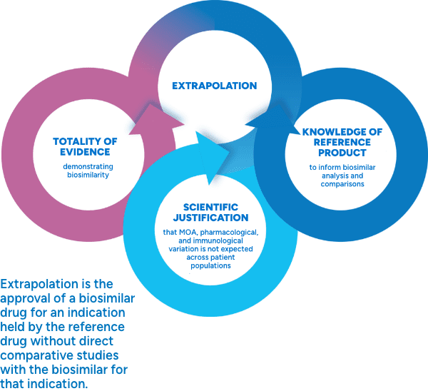 Diagram illustrating the established scientific and regulatory principle of data extrapolation